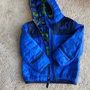 The north face jacket